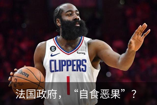 法国政府，“自食恶果”？